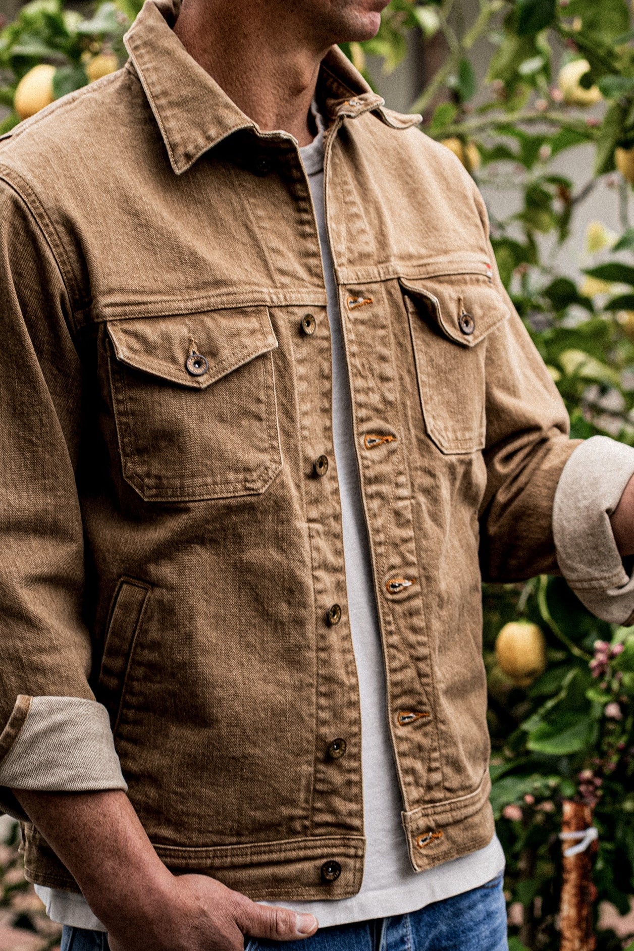 Wheat broken twill denim jacket worn open over a tee, cuffs rolled, near a lemon tree.