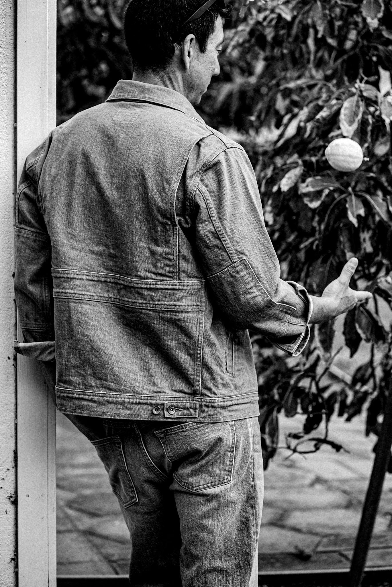 Back view of the Artcher broken twill denim jacket worn with jeans beside a citrus tree.